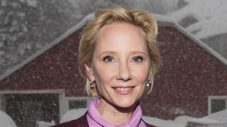 Anne Heche grinning in front of snowy barn picture