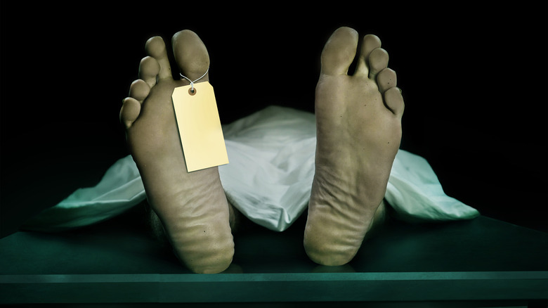 Tagged feet of body on morgue table