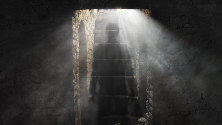 ghostly backlit figure in dusty cellar