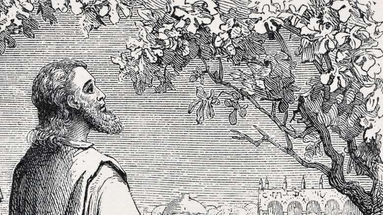 Jesus curses a fig tree