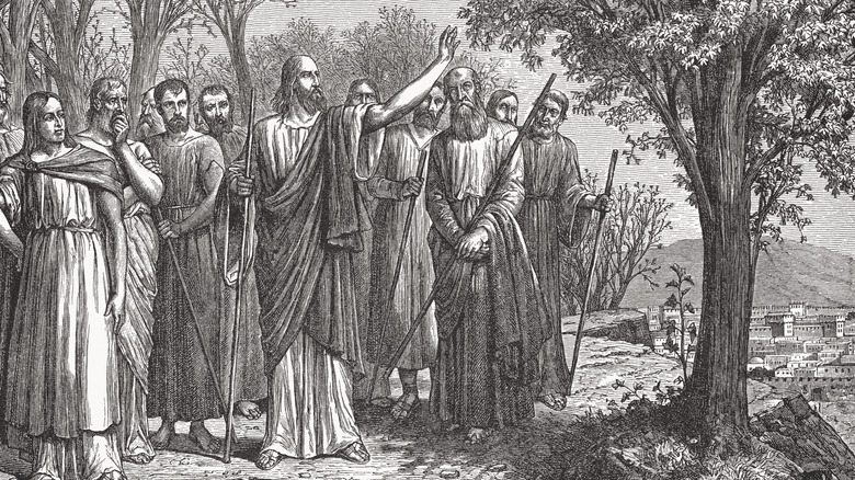 Jesus cursing a fig tree