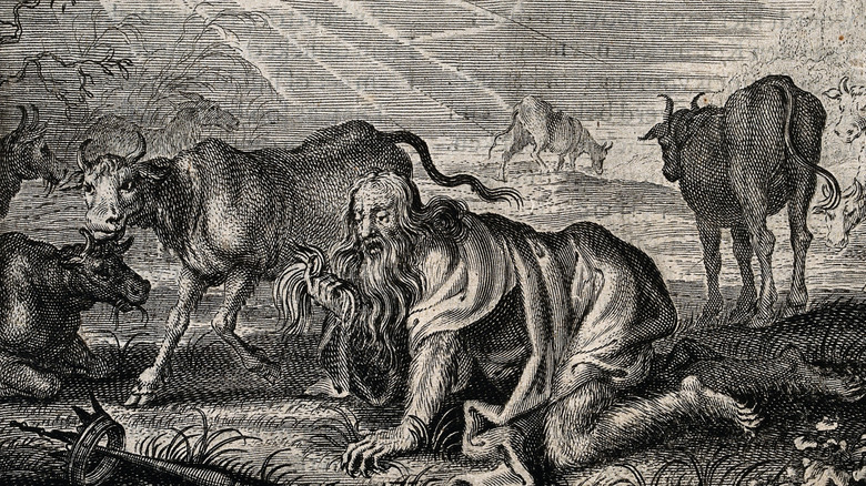 Nebuchadnezzar, gone mad, grovels like a beast of the earth.