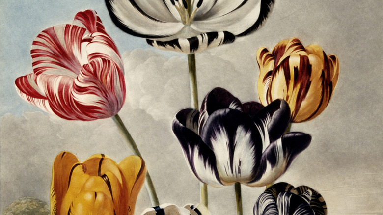 painting of tulips