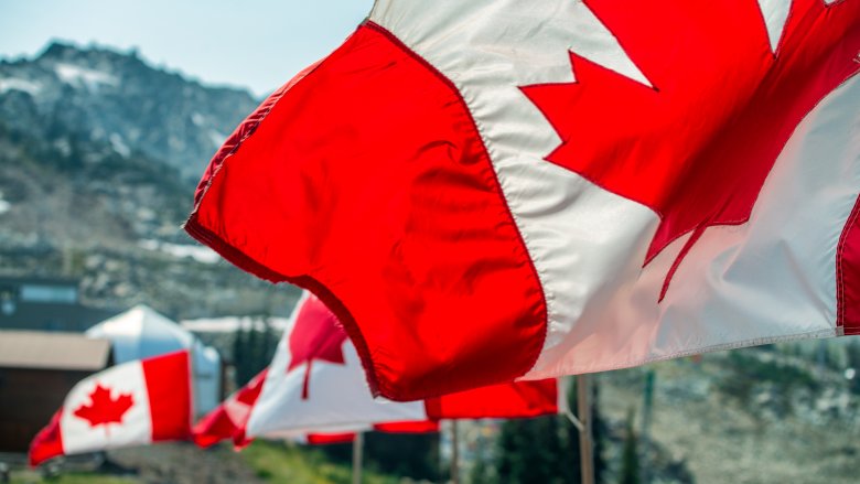 canadian flags