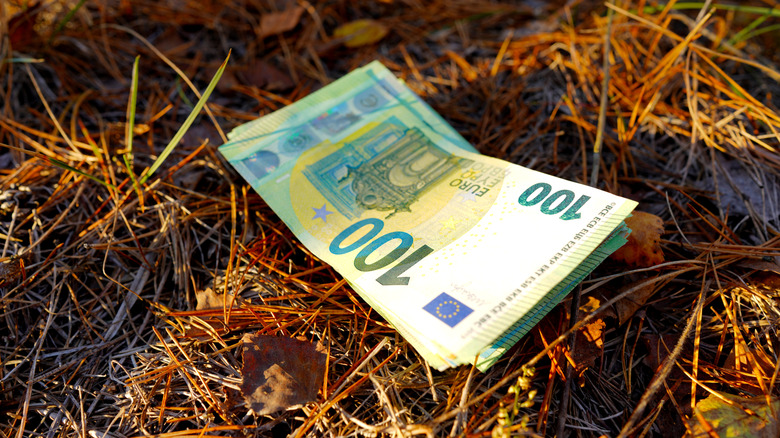 stack of money laying in field
