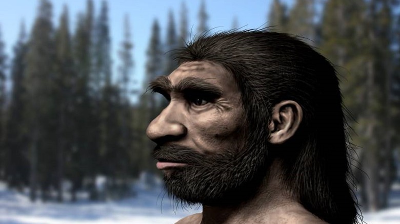 homo longi reconstruction