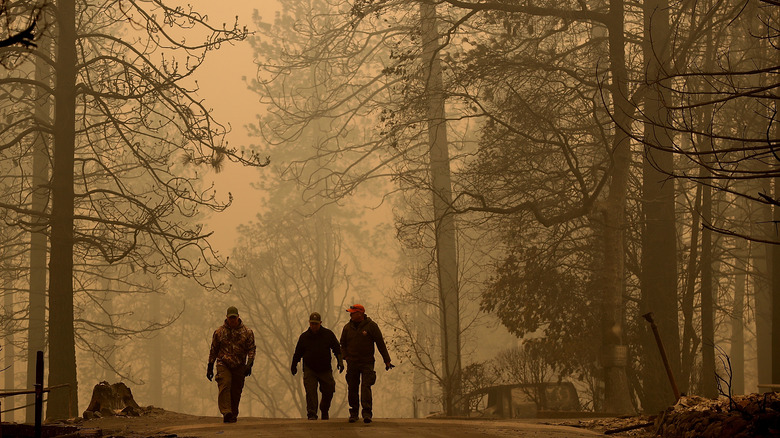 three people walking through a wildfire