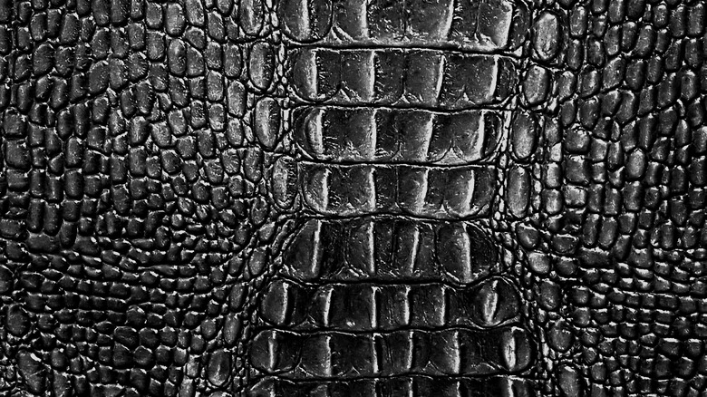 Alligator skin leather black closeup