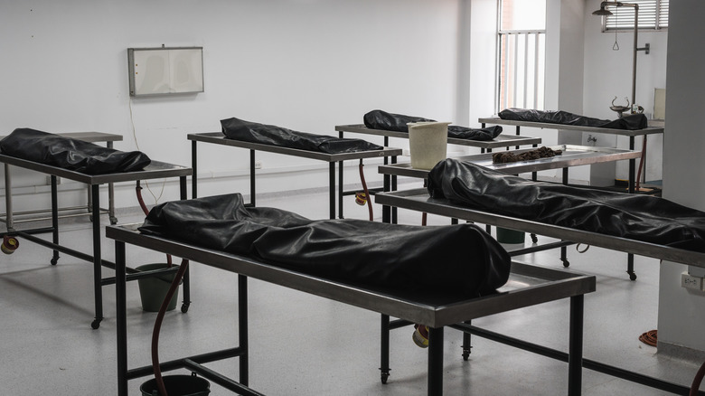 bodies in bags on tables morgue