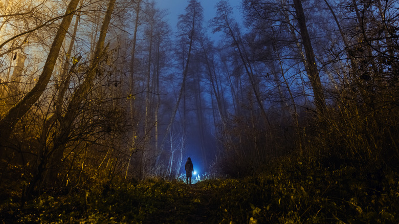 Silhouetted person with flashlight in woods at night.