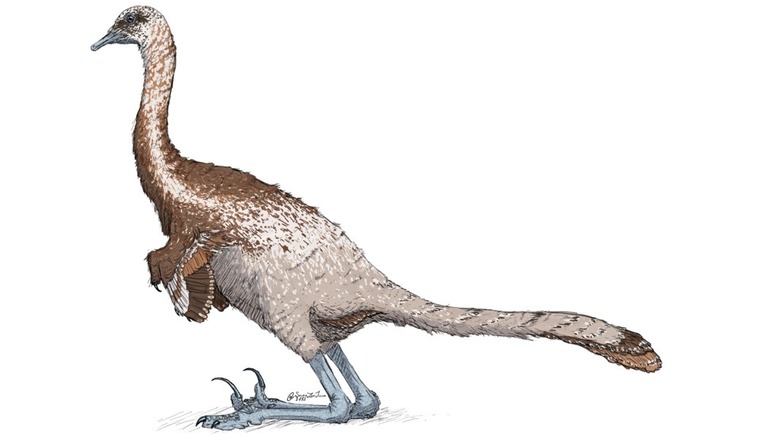 Mahakala reconstruction illustration