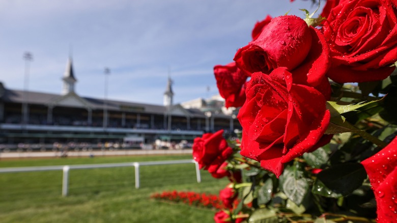 Roses at Churchill Downs racetrack