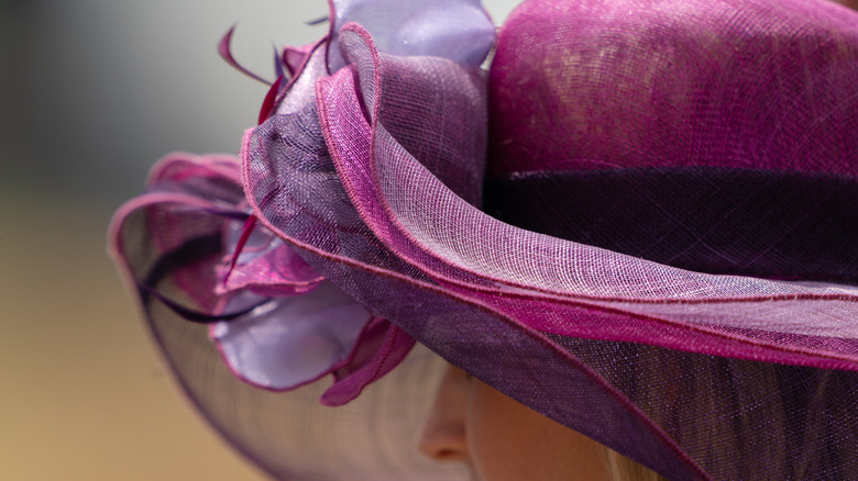 A racing fan's purple hat