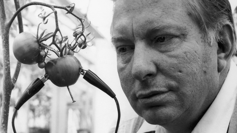 L. Ron Hubbard using an e-meter on a tomato plant