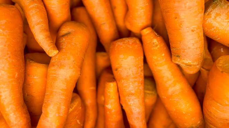 Fresh carrots in heap closeup