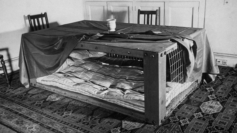 Morrison table shelter indoors with bedding inside