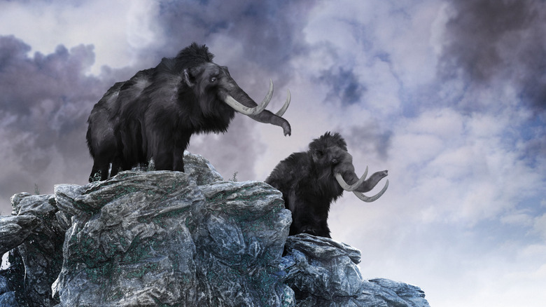 rendering of mammoths on rock promontory