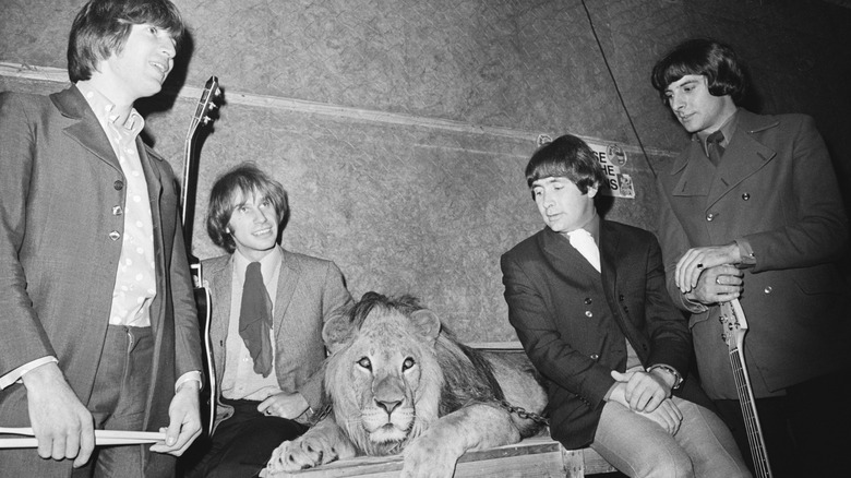 The Troggs hanging out with lion