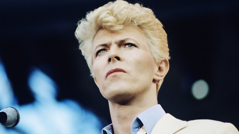 David Bowie staring into crowd