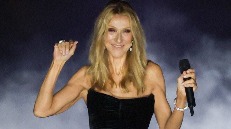 soft rock singer Celine Dion