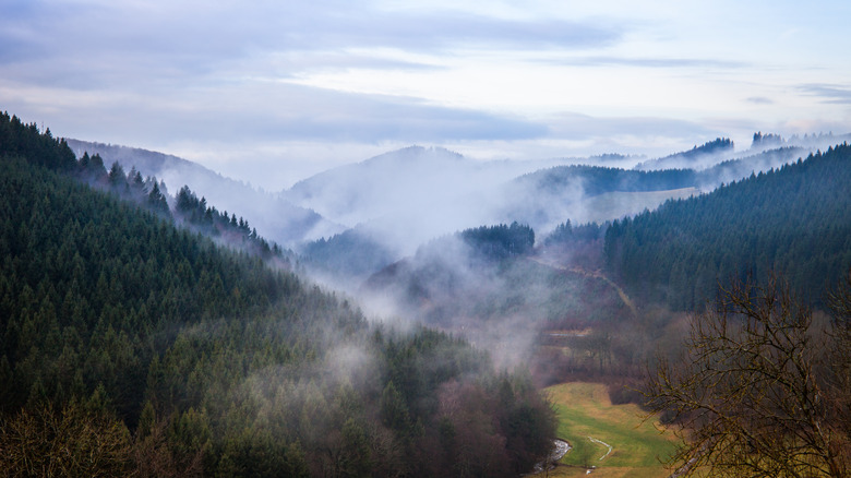 Sauerland, Germany countryside