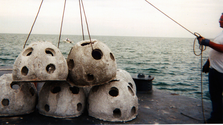 Eternal Reef balls prepped for lowering