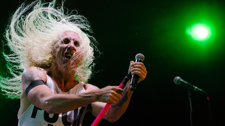 Dee Snider flipping his long hair on stage