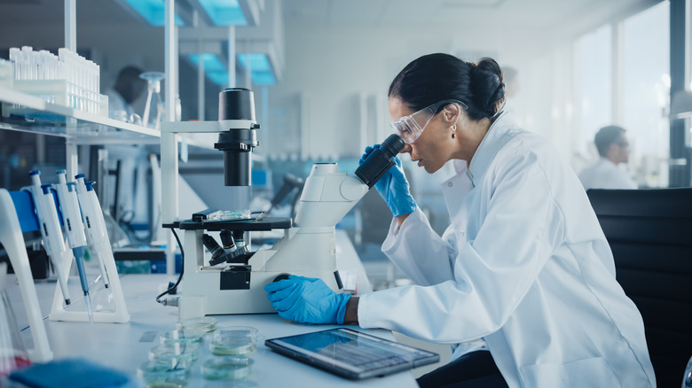 Scientist at work in lab