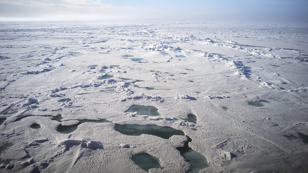 North Pole ice