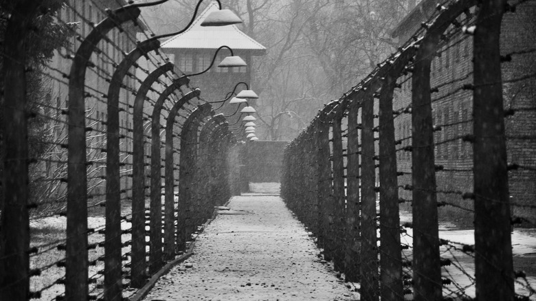 Snow falls in Auschwitz 