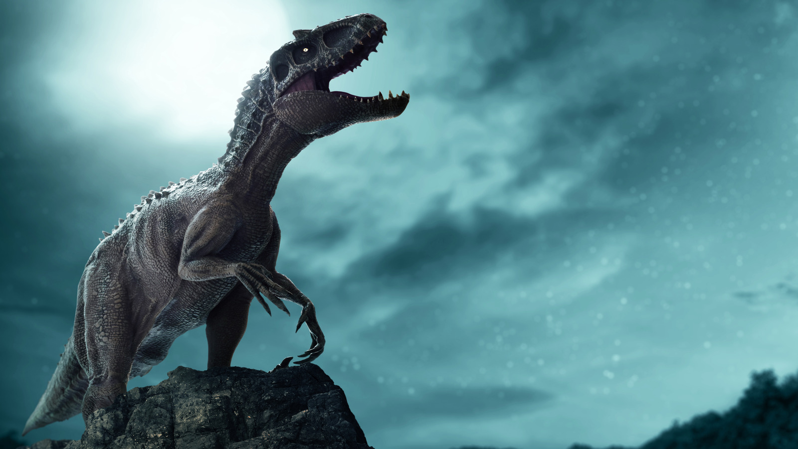 A North Dakota Excavation Had One Paleontologist Rethinking The