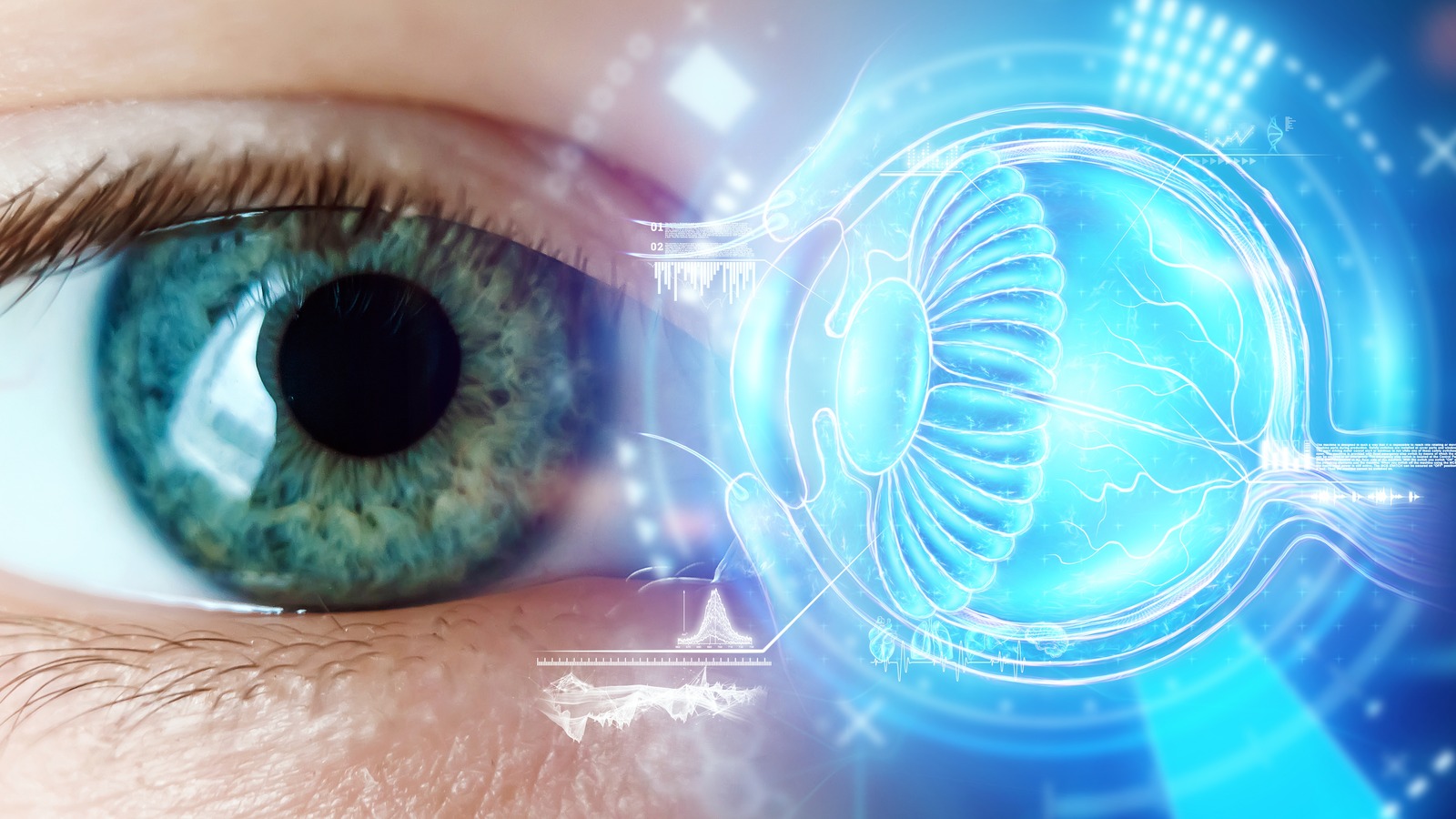 A Successful Eye Transplant Has Never Been Performed. Here's Why