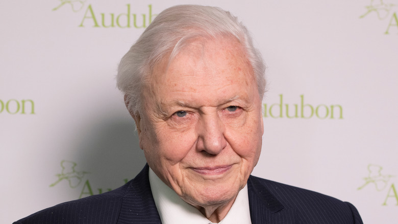 Sir David Attenborough