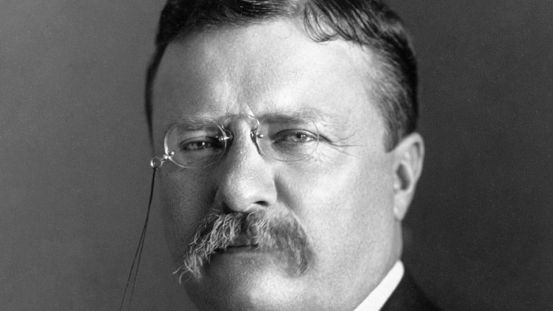theodore roosevelt looking serious