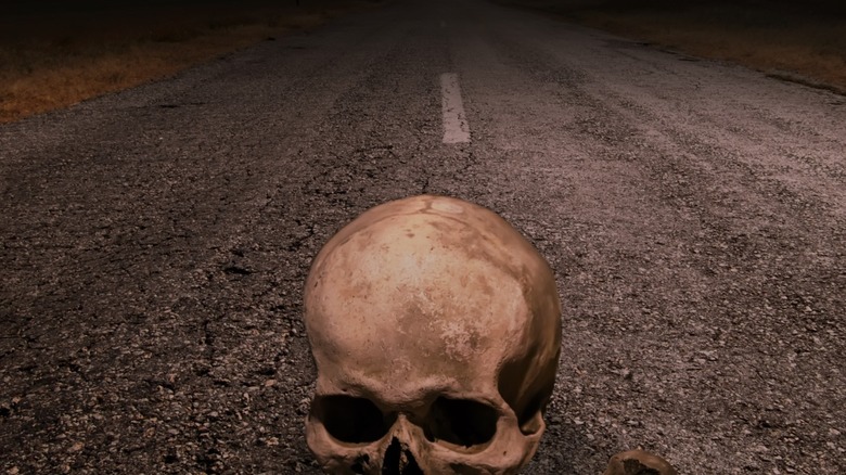 skull on highway