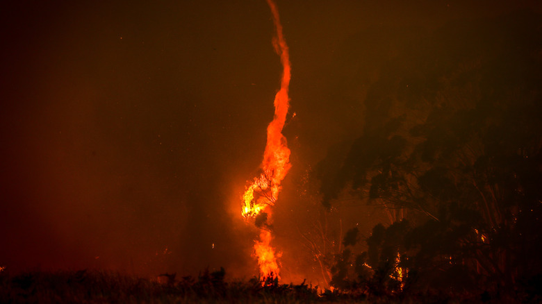 Fire whirl photo