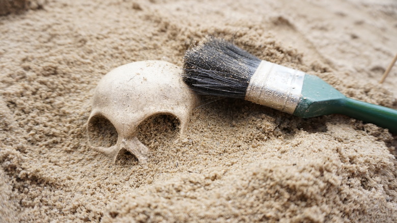 half-buried skull and brush