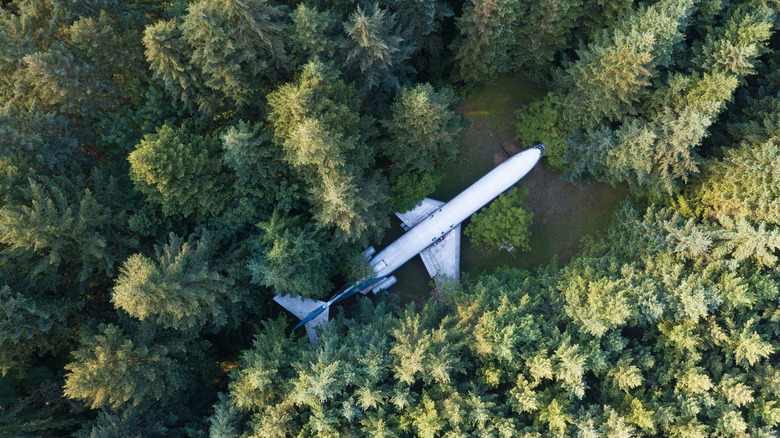 Boeing 727 plane in Hillsboro, Oregon forest