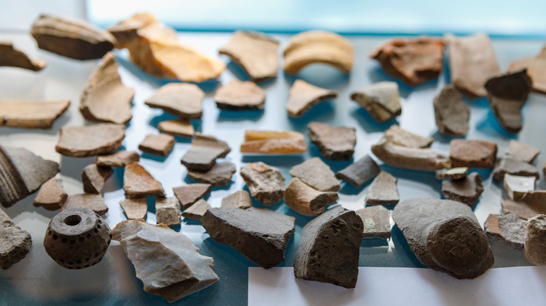 Shattered Neolithic ceramic pieces