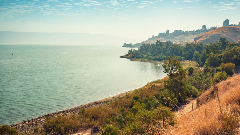 The Sea of Galilee