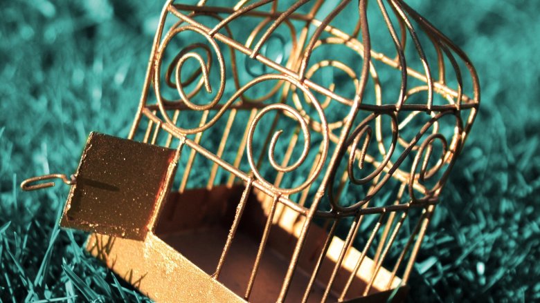 gilded cage