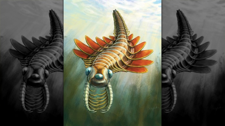 Artistic rendering of three-eyed radiodont swimming