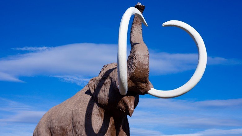 Extinct Animals Science Wants To Bring Back
