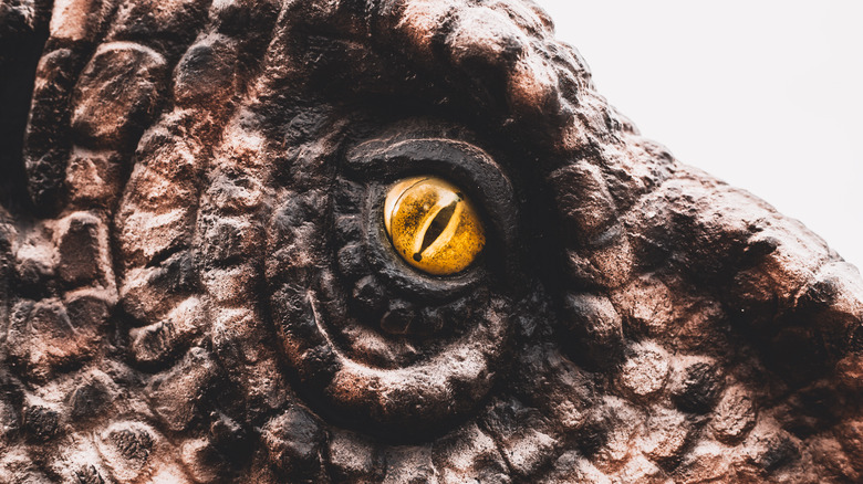 close up of a dinosaur eye