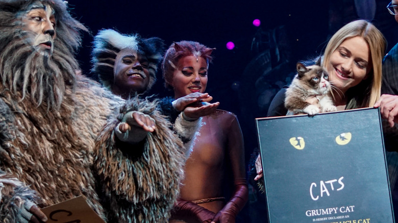 Grumpy Cat with The Cats Musical 