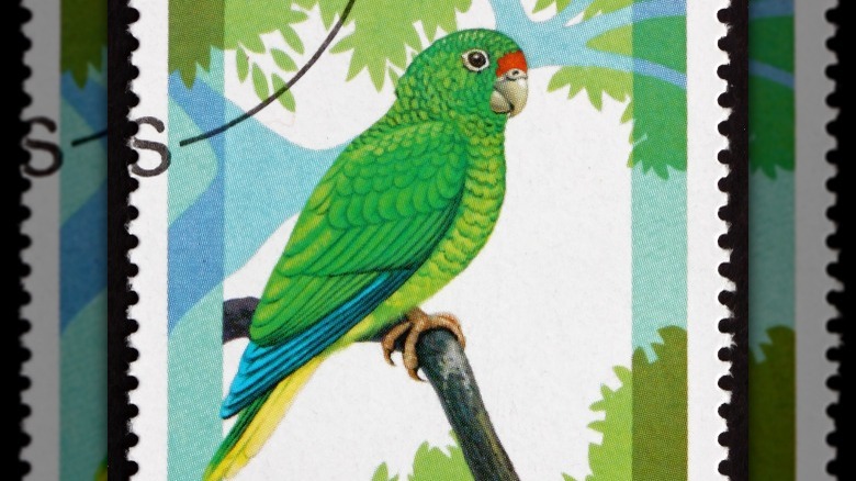 puerto rican parrot on a stamp
