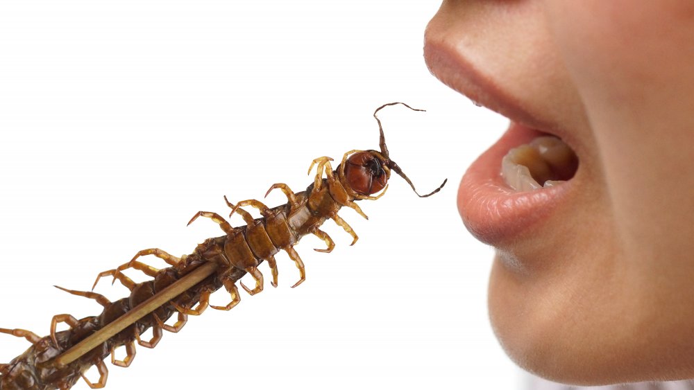 Eating Centipede