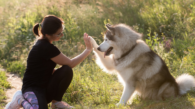Human with a dog