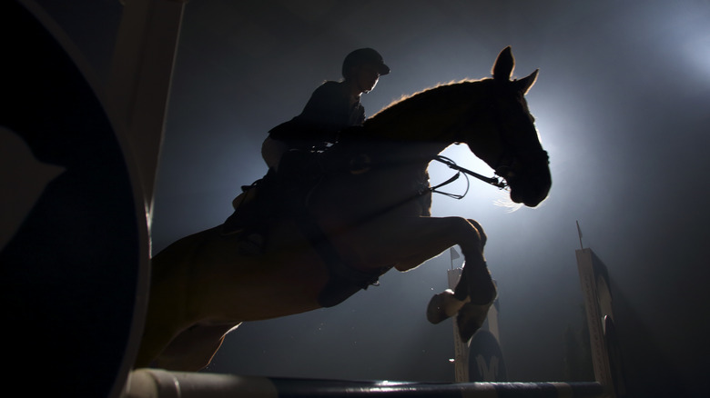 horse in silhouette steeplechase