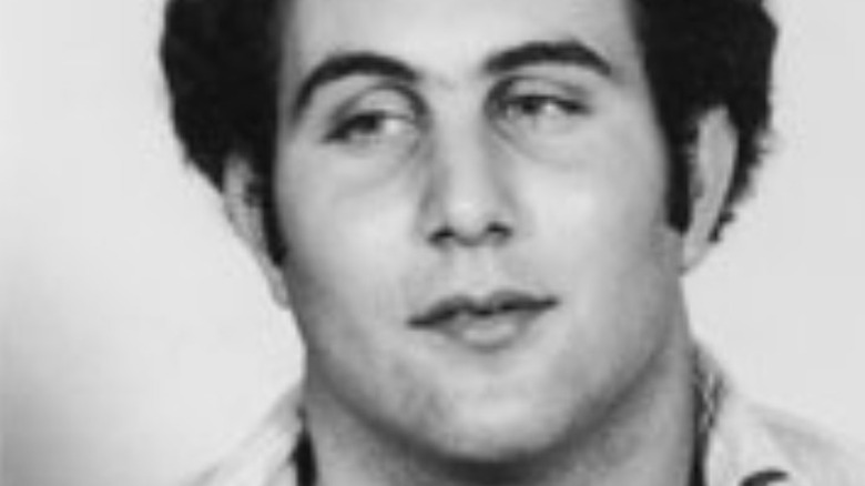 david berkowitz son of sam